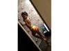 398109_preview