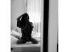 398110_preview